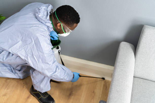 Best Pest Prevention Services  in East Glenville, NY